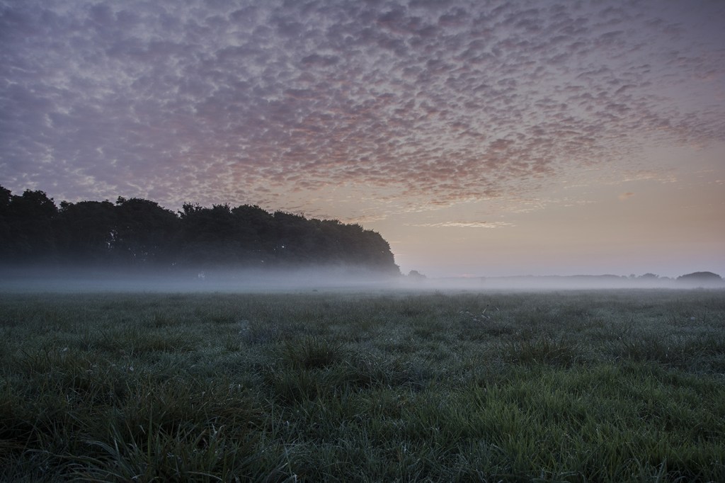 In the electric mist - Ouistreham 2018
