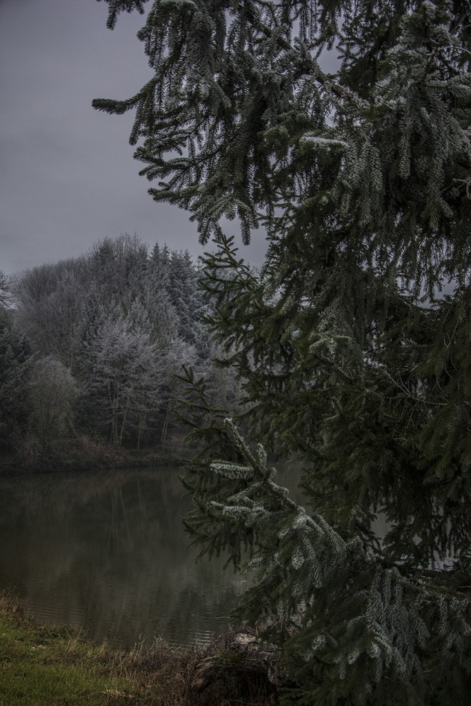 Winter blues - Bonnefamille 2018