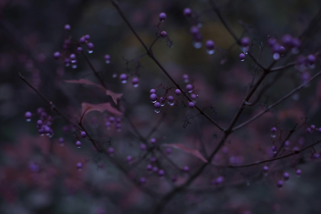 Chinese beads - Caen 2019