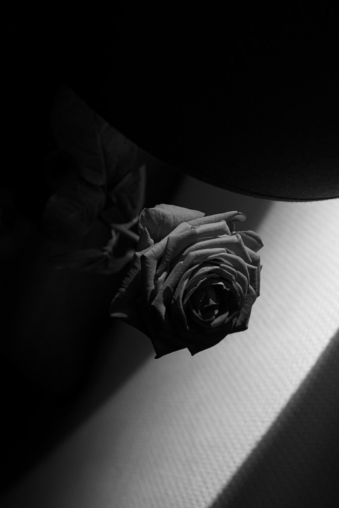 The game of truth - Caen 2020