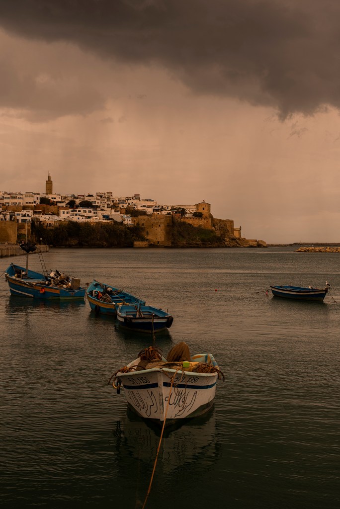 January in Rabat - Maroc 2020